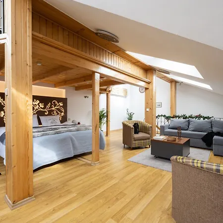 Grand Krupowki 47 Appartement *