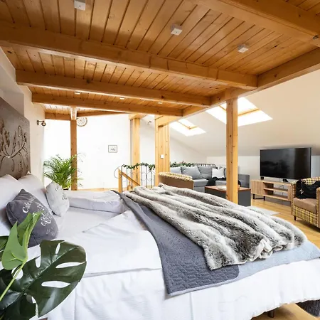 Apartmán Grand Krupowki 47 *
